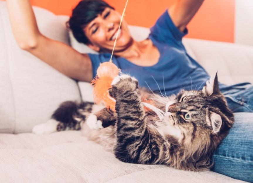 5 Cat Toy Alternatives to Dangerous Things Your Cat Wants to Play With