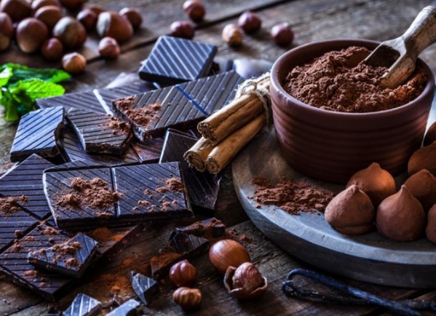 what is it in chocolate that makes dogs sick