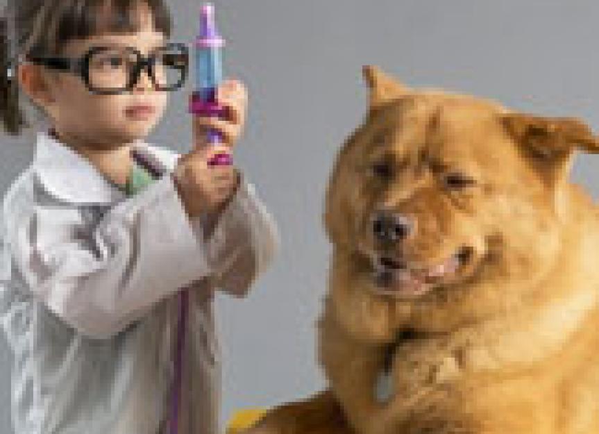你会把你的宠物托付给兽医学生吗?