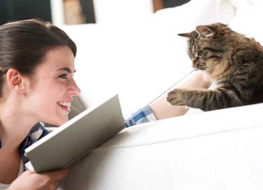 How to Help Your Cat Live a Long, Healthy Life How Long Do Cats Live