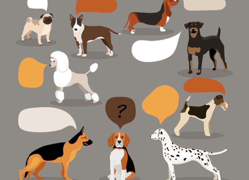 我们如何谈论宠物癌症——言语重要吗