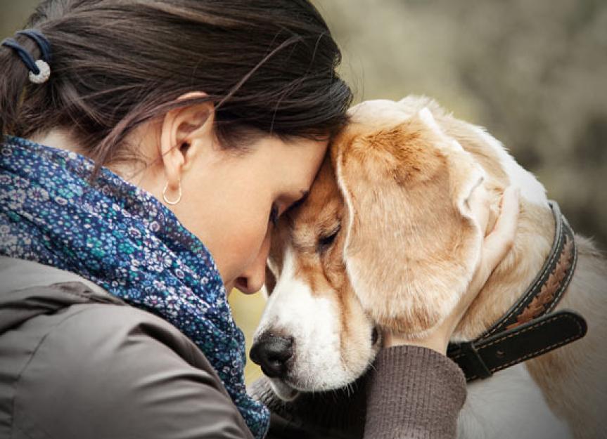 Protecting Pets in Abusive Human Relationships