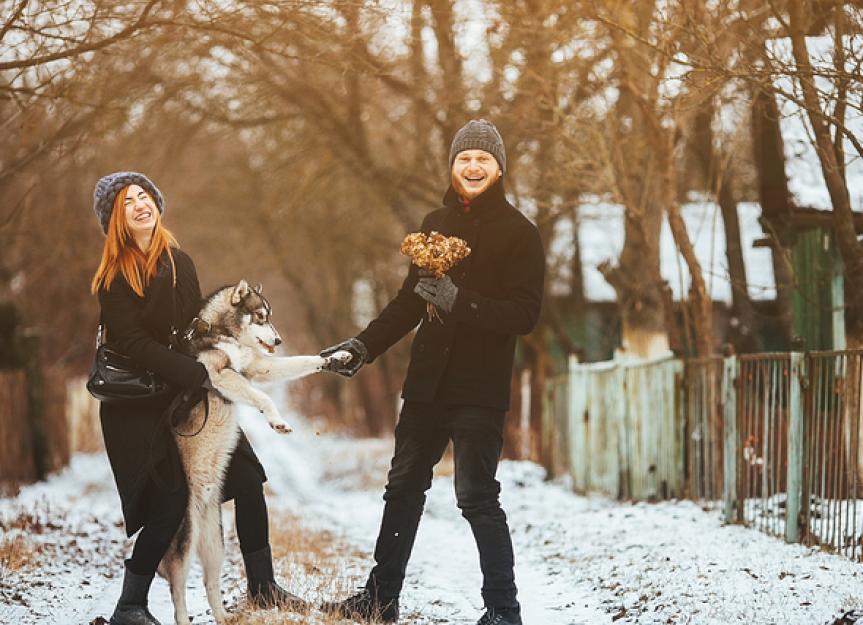 Pets and Your Love Life: What the Experts Say