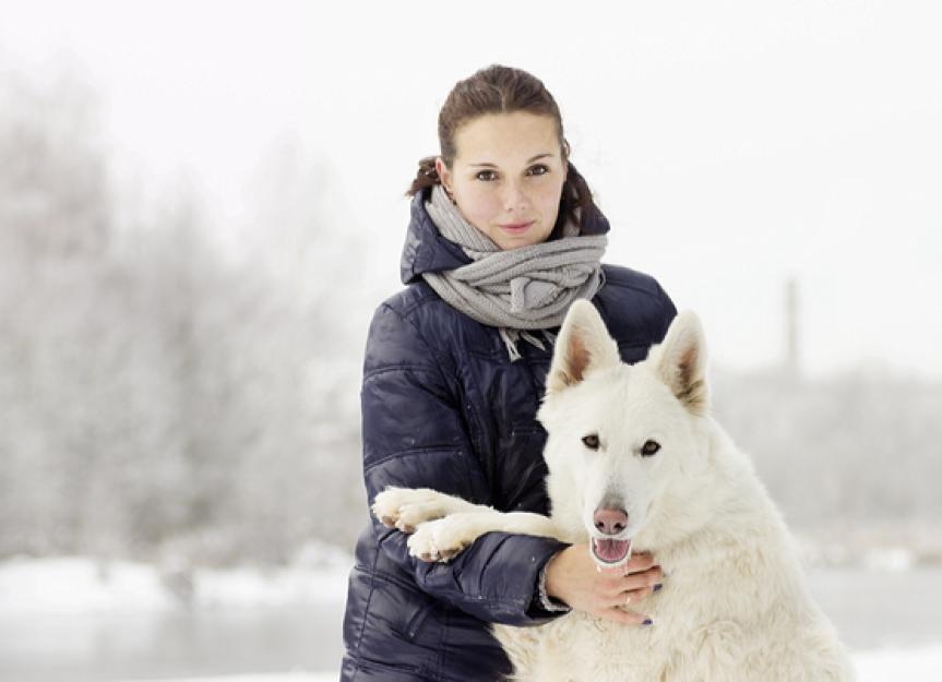 7 Ways Cold Weather Can Affect Your Dog