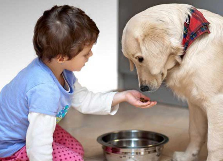 How Dog Food Can Make You Sick