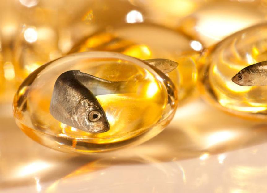 Fatty Acids and Your Cat's Diet PetMD