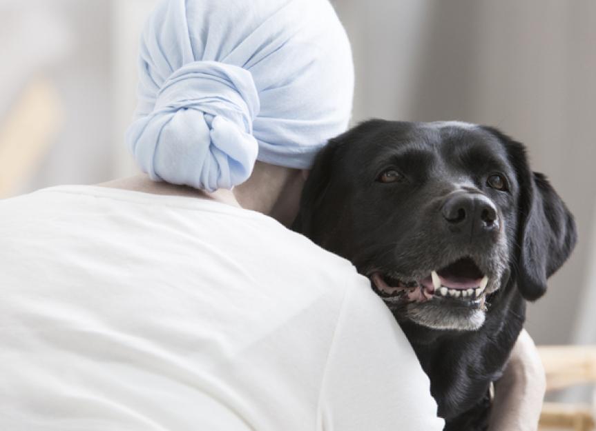 治疗犬如何改善住院病人的情绪健康