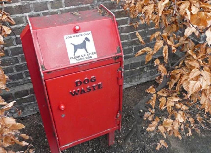 Can Dog Poop Spread Disease? In Short, Yes