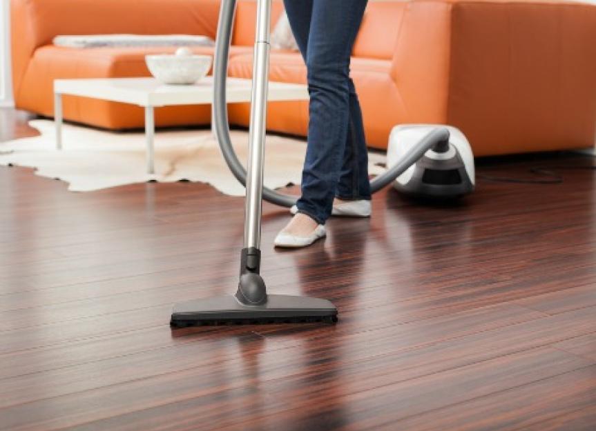 Tips for Vacuuming Pet Hair PetMD