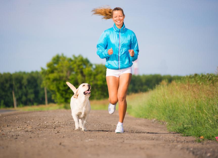 6 Exercises You Can Do With Your Dog