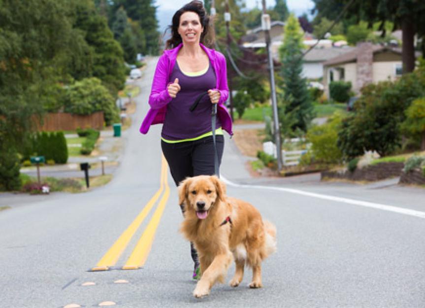How to Exercise with Your Dog