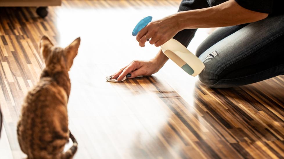woman cleaning up a spot on the floor while a cat watches