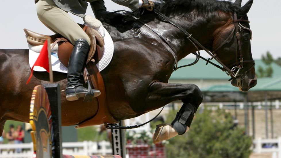 A horse and rider soar over a jump during an equestrian showjumping event