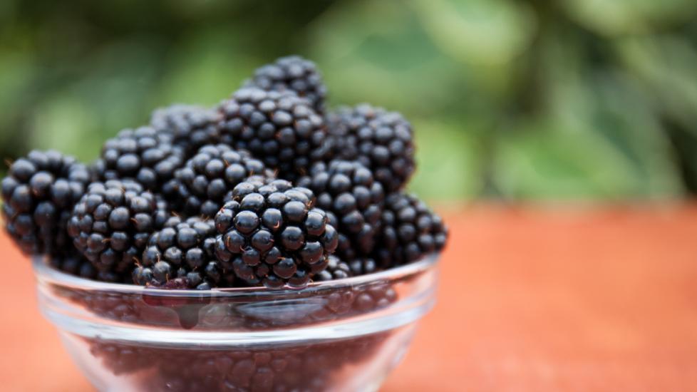 clear glass bowl of blackberries on outside table