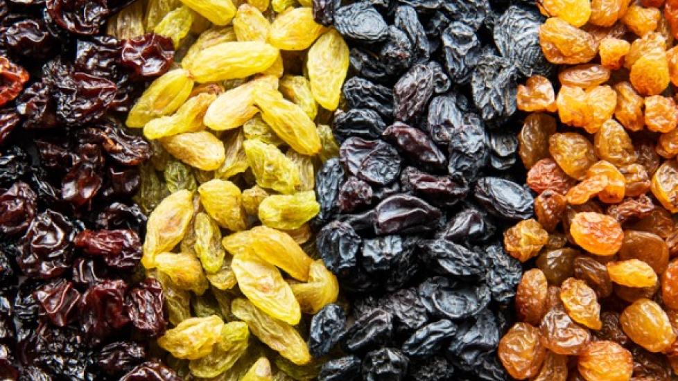 are raisins or oarmeal bad for dogs