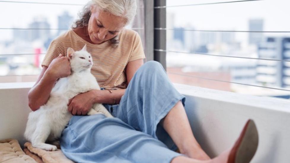 older woman sitting on bed and petting white cat
