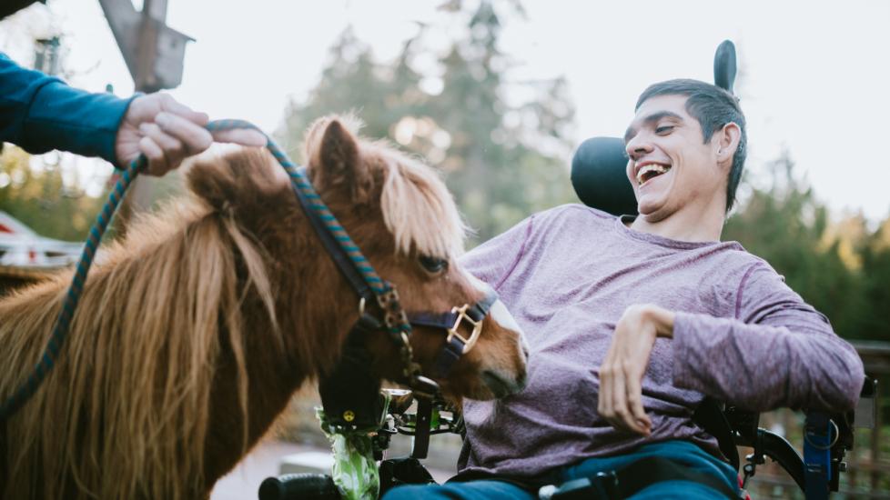 boy-in-wheelchair-near-horse