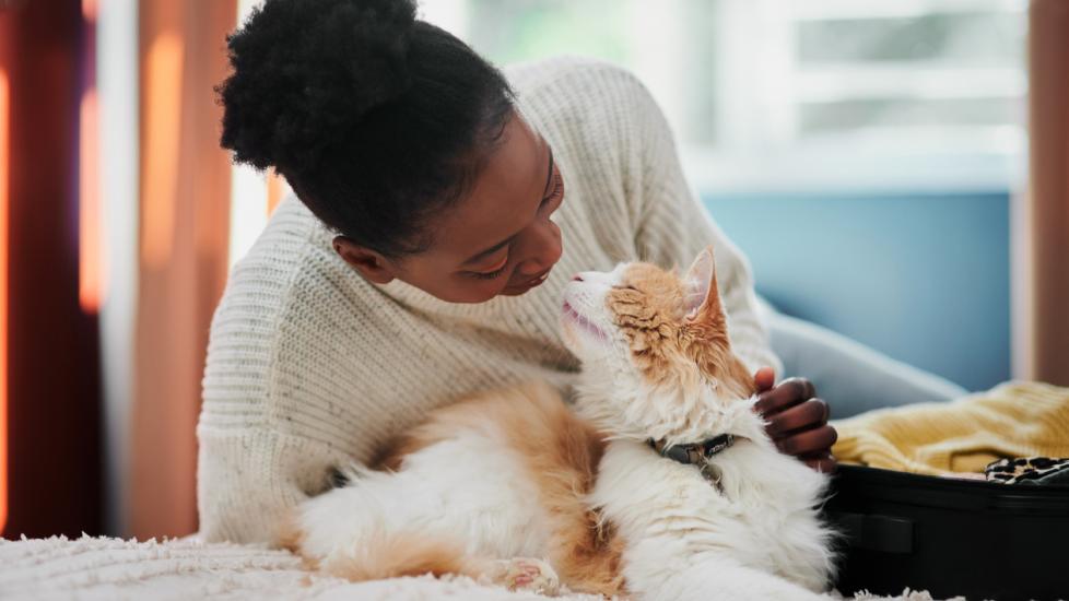 woman petting an orange and white cat