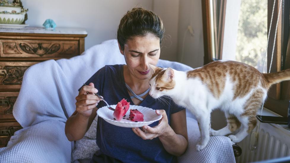woman eating a watermelon with her white and orange cat watching