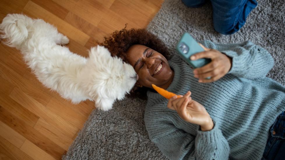 african american person lying on floor feeding dog carrot
