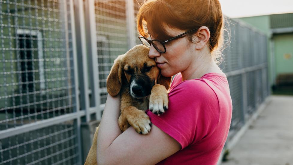 woman holding and hugging a brown puppy