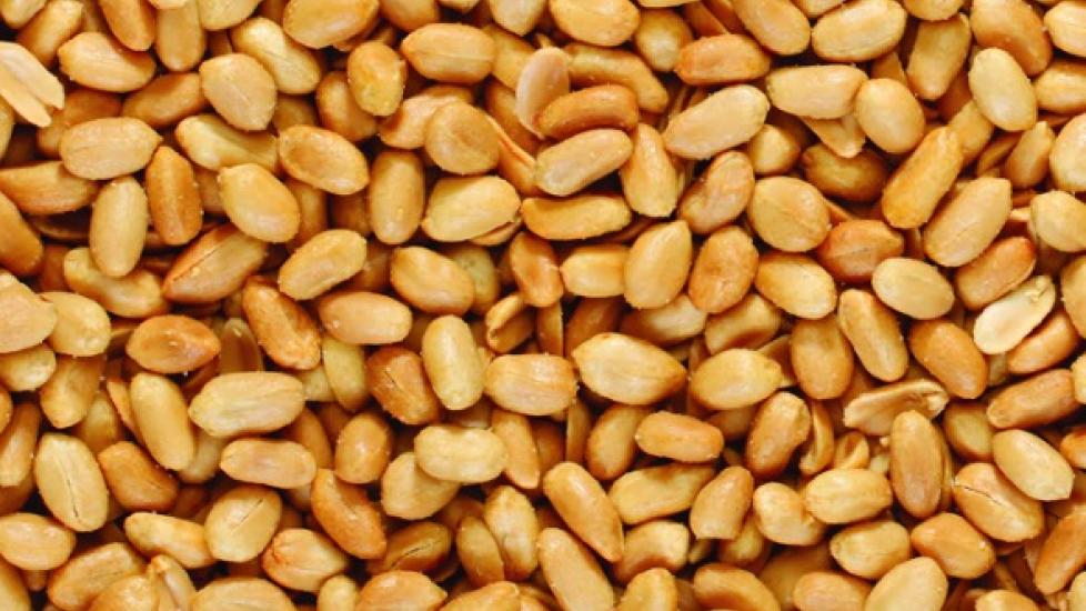 close-up of a pile of peanuts
