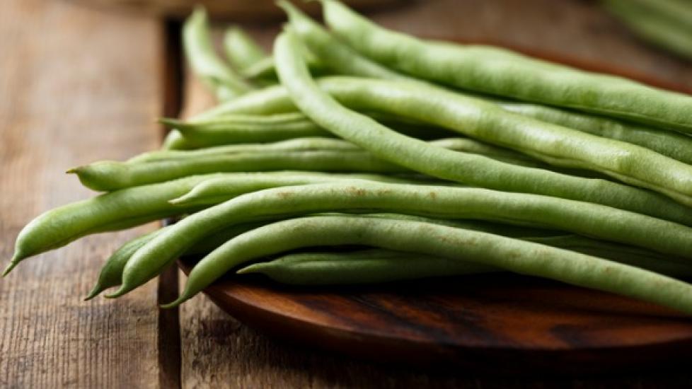 Can Dogs Eat Green Beans? PetMD