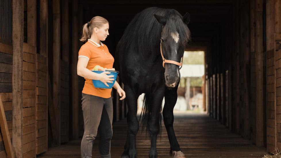 woman-standing-next-to-horse-in-stall