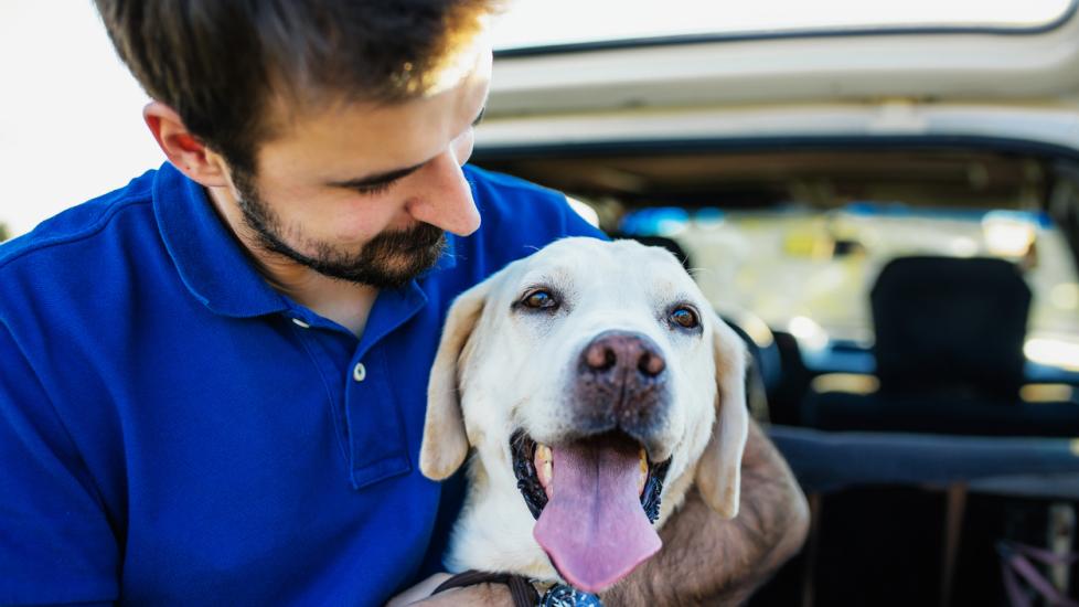 man-sitting-with-dog-in-car