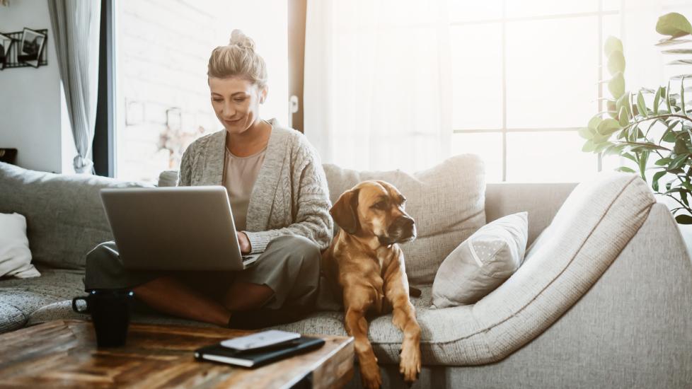 woman-sitting-on-couch-with-laptop-and-dog