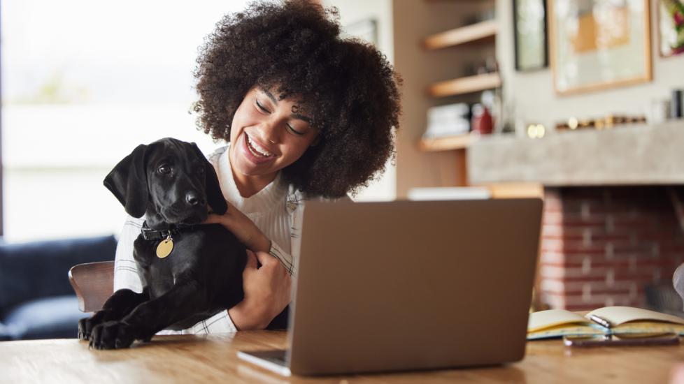 african-american-woman-sitting-in-front-of-laptop-with-puppy