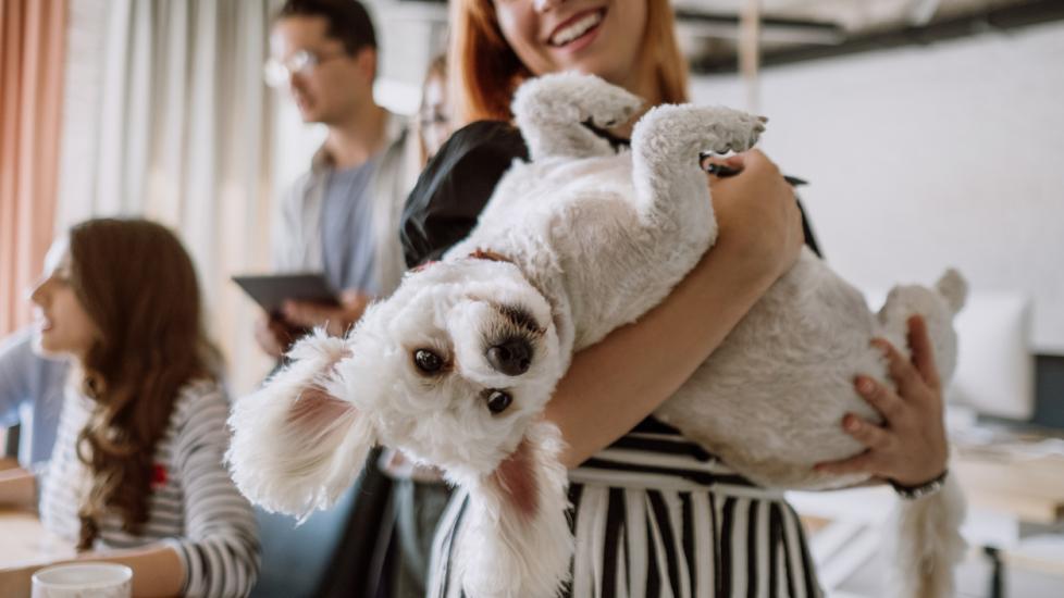 woman-holding-fluffy-dog