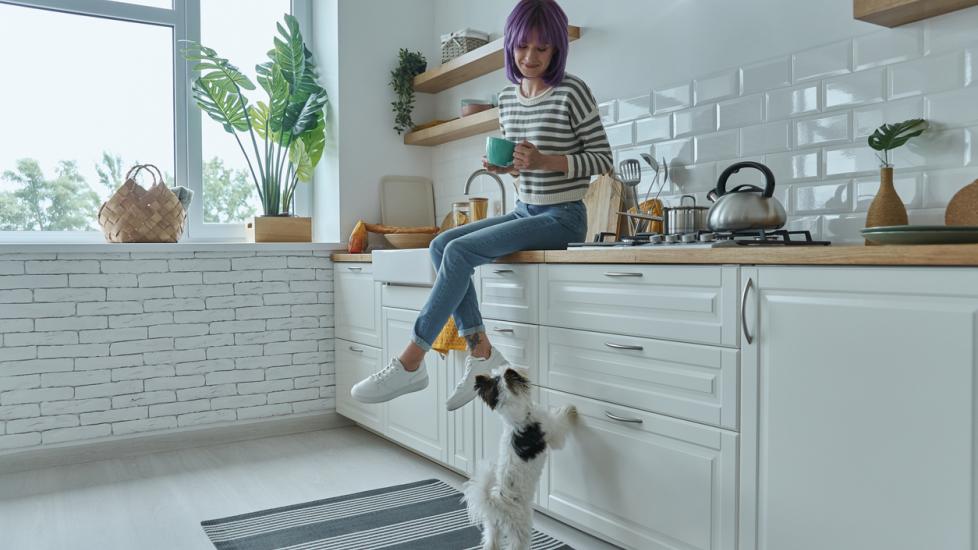 person sitting on counter in a white kitchen while dog tries to jump up