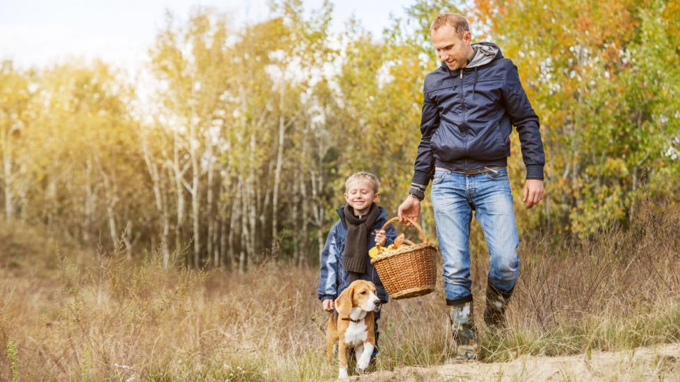 dog-and-son-walking-with-beagle-in-tall-grass