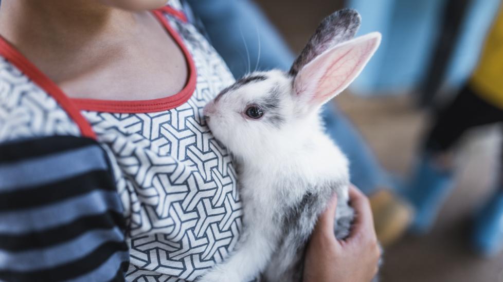child-holding-bunny-close-to-chest