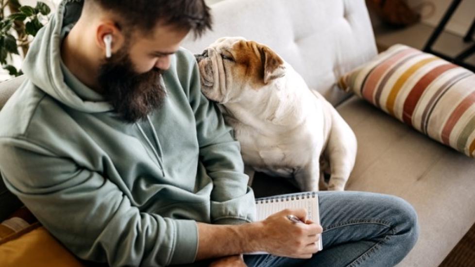 man with beard making list on couch while english bulldog rests his head on man's shoulder