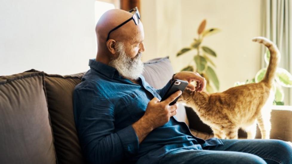 senior man sitting on couch pets orange cat and has cell phone in the other hand