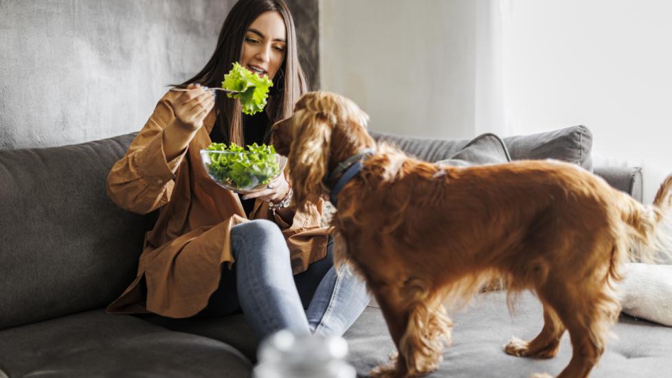 woman eating salad as her dog watches
