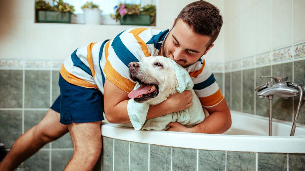 dog-bathing-dog-in-tub