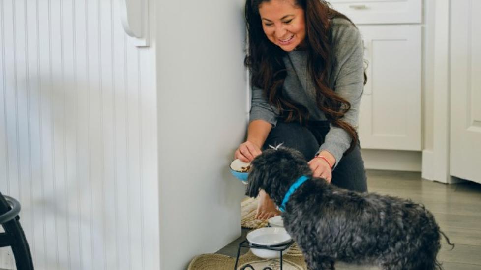 woman kneeling to feed her black Shih-Tzu in the kitchen in front of white kitchen island