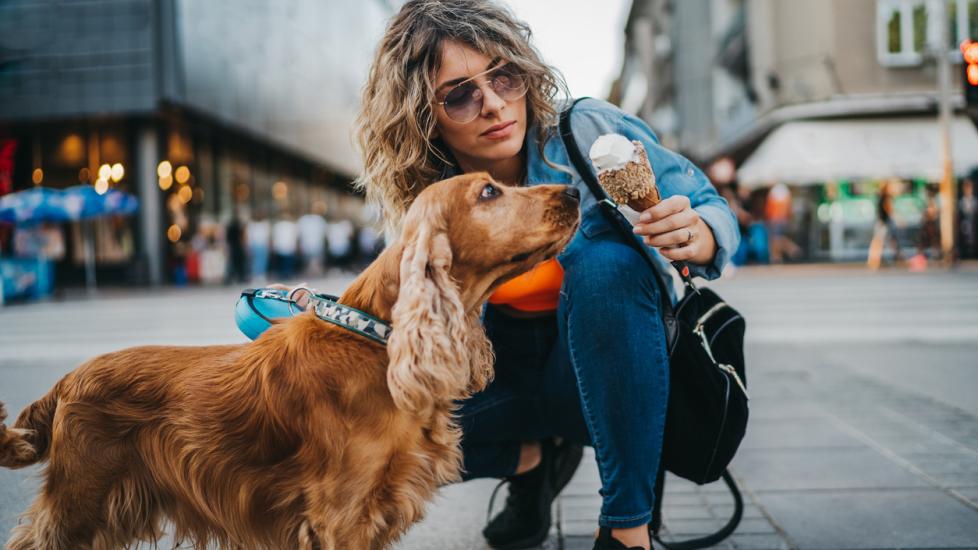 woman crouching next to her cocker spaniel while holding an ice cream cone