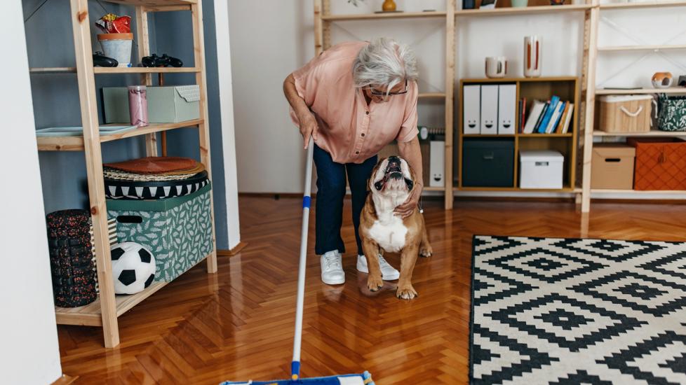 older woman petting her bulldog while vacuuming
