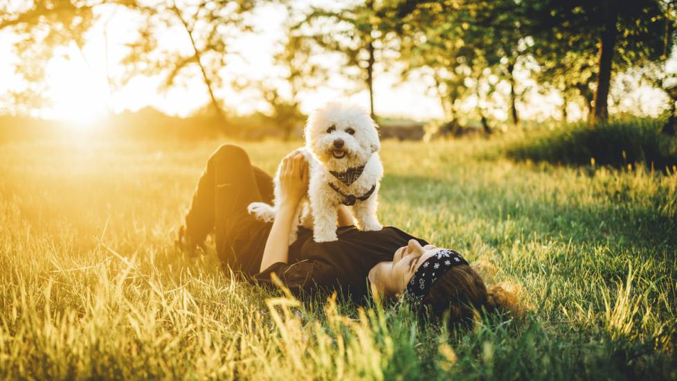 woman-lying-in-grass-with-dog-on-chest