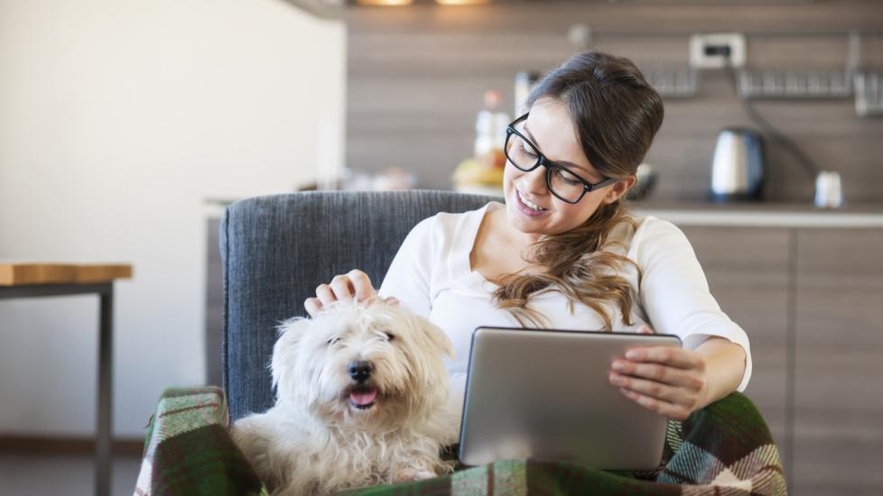 woman-sitting-on-cough-with-dog-and-laptop