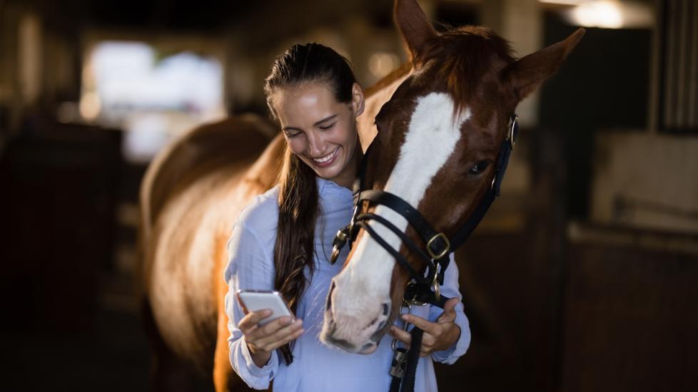 vet-looking-at-phone-next-to-horse