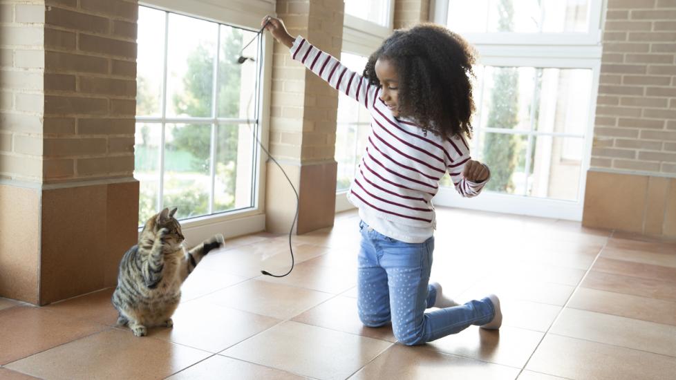 little-girl-playing-with-cat-and-cat-toy-on-floor