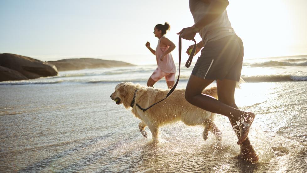 man-and-woman-running-with-dog-on-beach