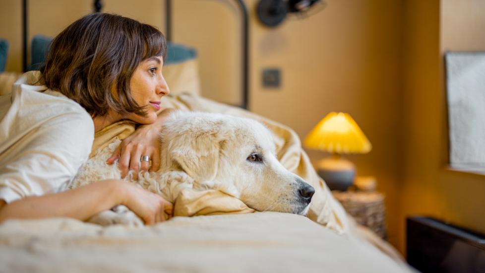 woman-laying-on-bed-with-fluffy-golden-dog