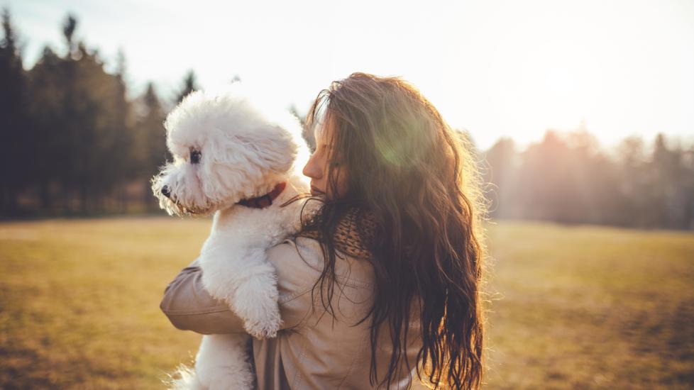 woman-holding-white-fluffy-dog-in-field