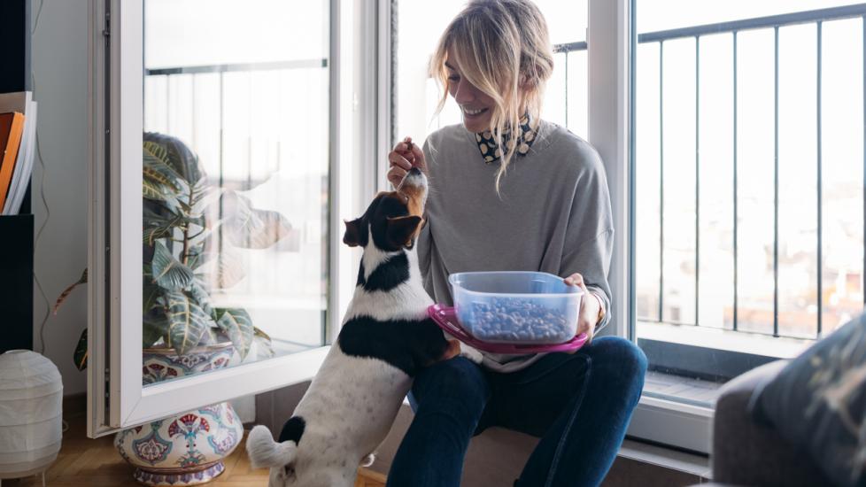 woman-feeding-dog-from-tupperware